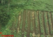 Lihatlah Keindahan Alam Desa Selasari