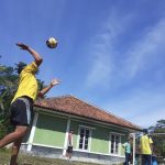 vb_erwin