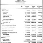 realisasi apbdes 2019
